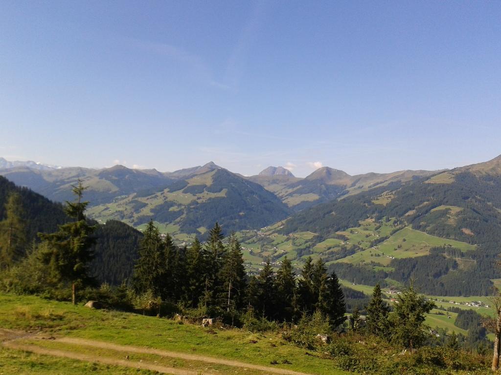 Alpenhof Otel Kirchberg in Tirol Dış mekan fotoğraf